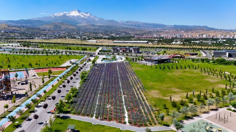 Erciyes Manzarasıyla Mor Şölen: Lavanta Bahçesi Ziyaretçilerin Yeni Gözdesi